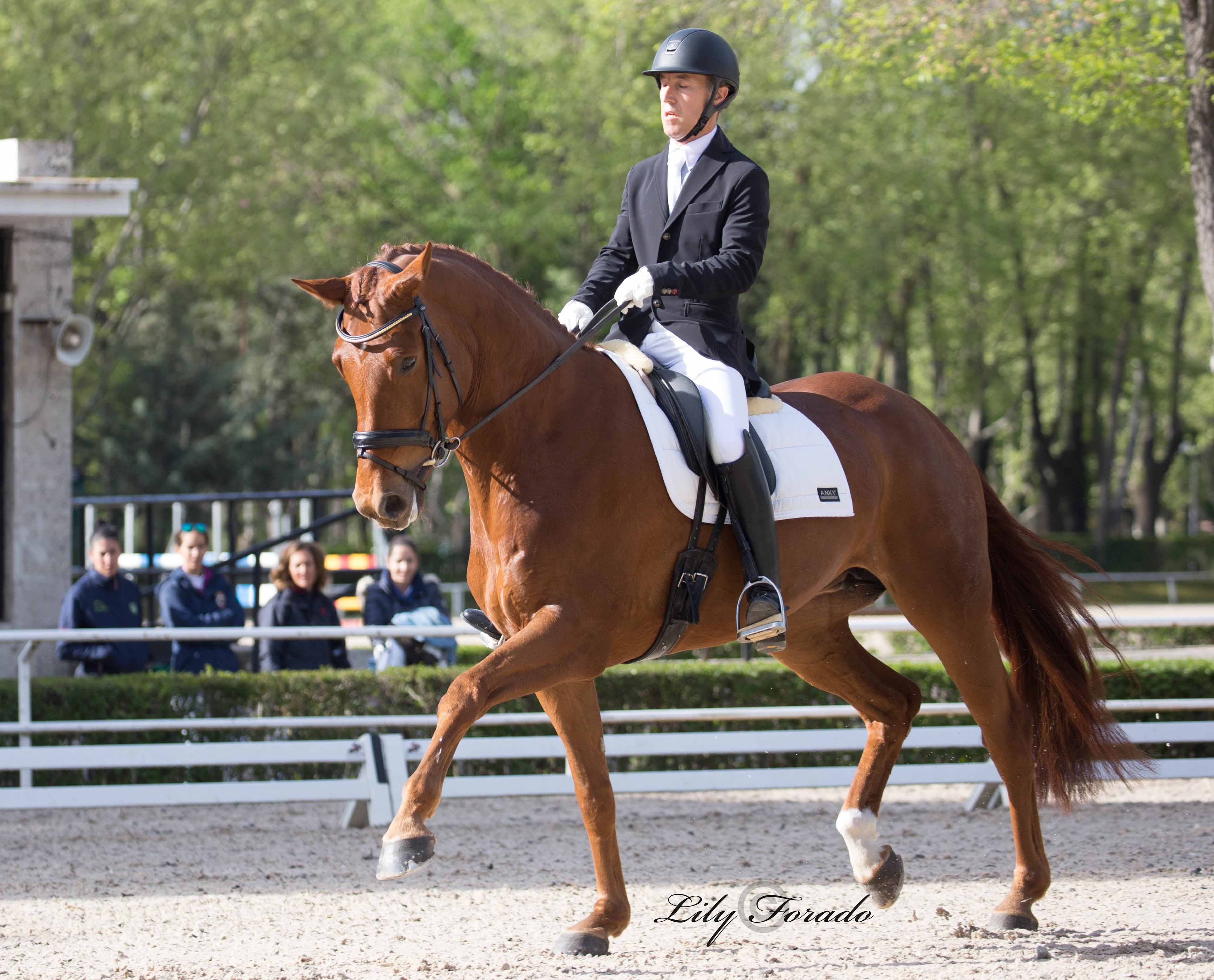 Protagonismo de los caballos Jóvenes en la segunda jornada del Club de Campo