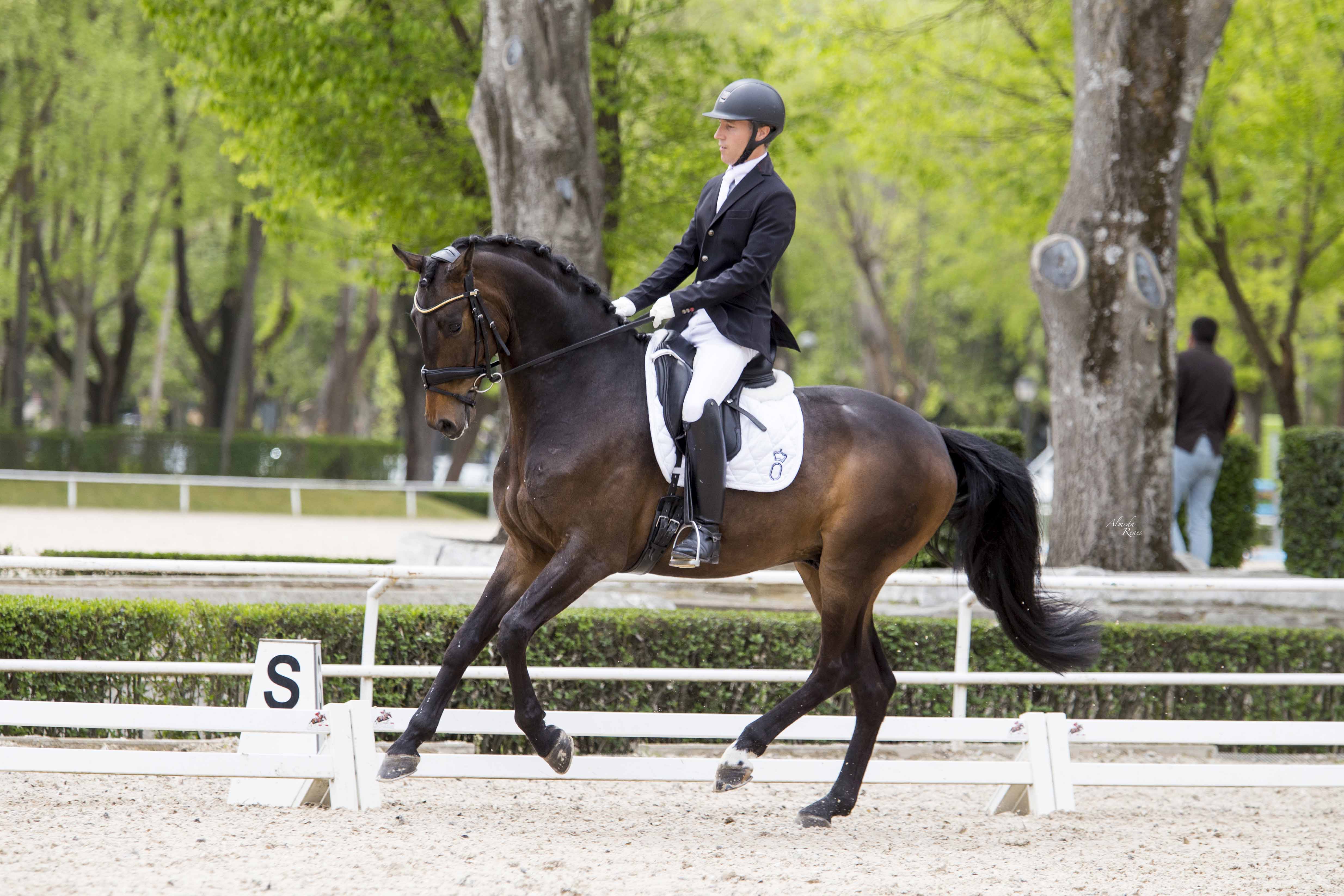 Protagonismo de Sergio Navarro, Yeguada Arroyomonte y Yeguada de Ymas en el Club de Campo