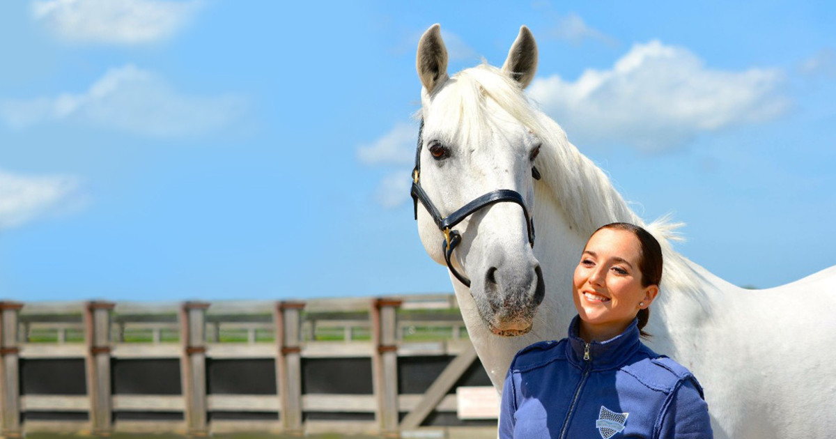 El nuevo proyecto de Laura Reija: LRD Dressage Training Online