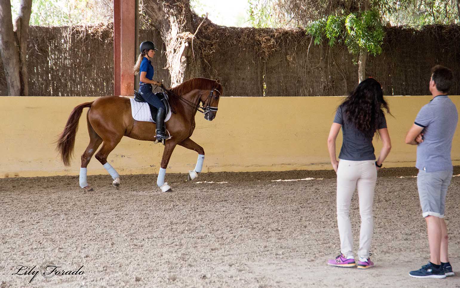 Plan de Desarrollo Deportivo para Menores de  ANCCE en Barcelona