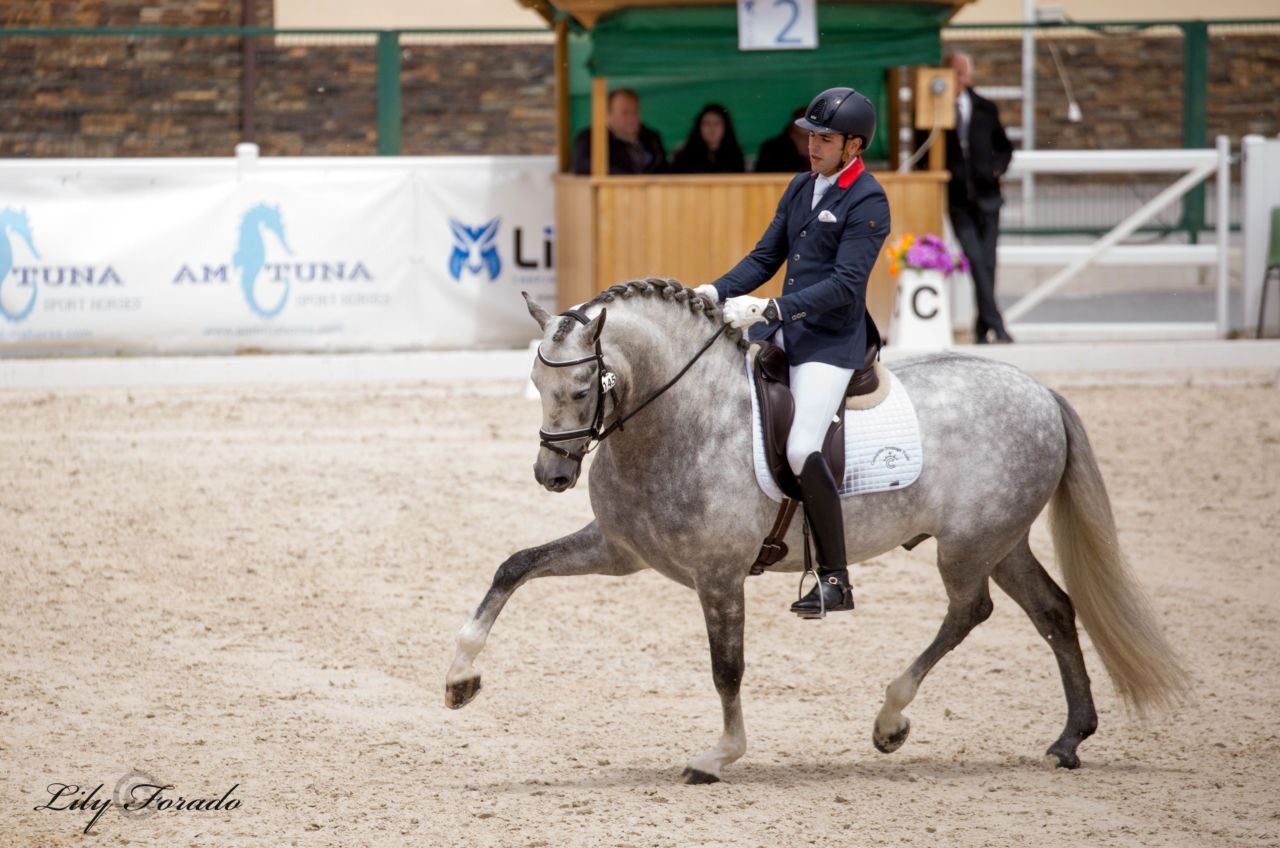 Antonio Verdejo y Miguel Ruiz deslumbran en el CDN3* Nocturno de CECYL