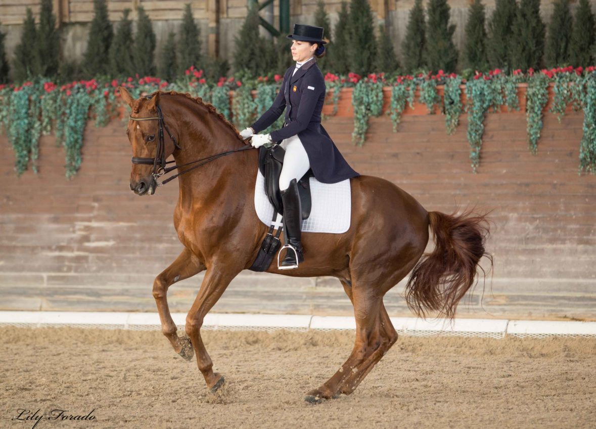 Carolina Usandizaga lidera la Intermedia I. La Yeguada Barcelona Horses triunfa en Copa Ancce