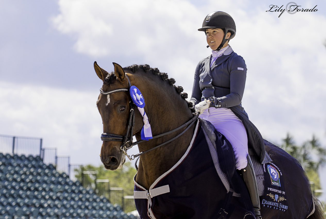 AGDF 7: Grandes resultados de los jinetes españoles y victoria de Kerrigan Gluch con Bolero CXLVIII