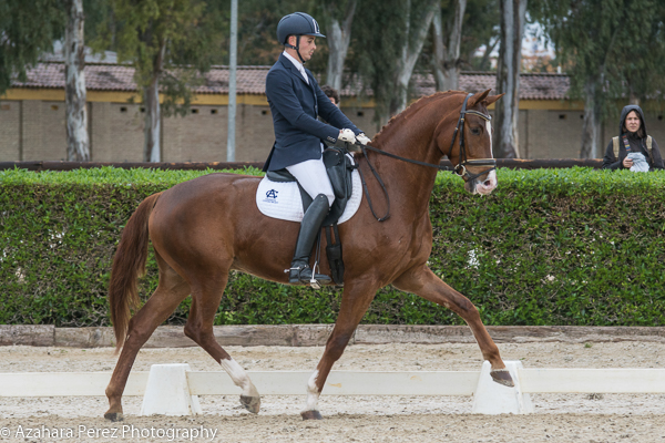 Gran victoria para los hannoverianos de la Yeguada Cuevas Bajas en el pasado CDI3* de Pineda