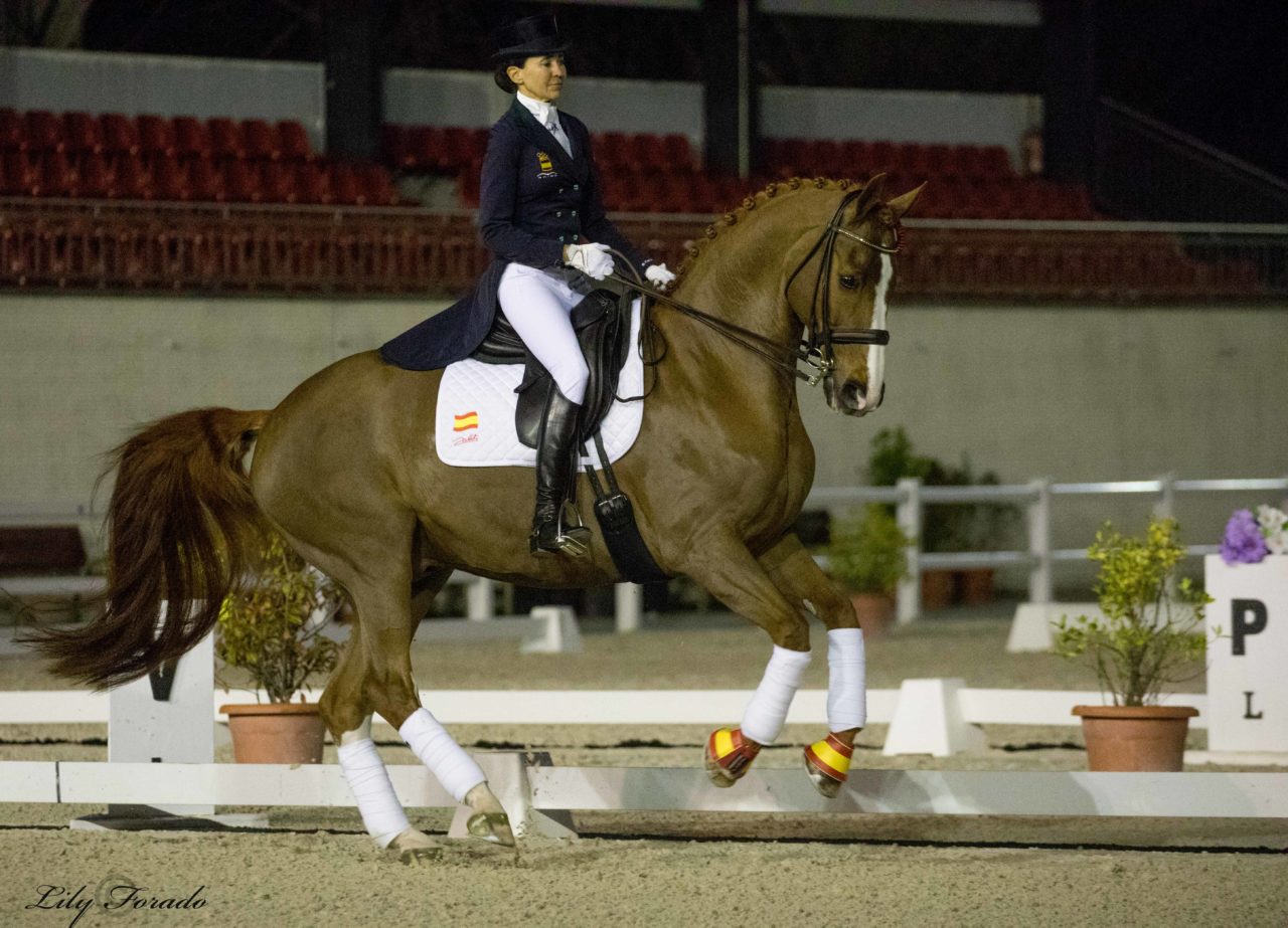 Beatriz Ferrer Salat triunfa en el GP del CDI3* de Segovia