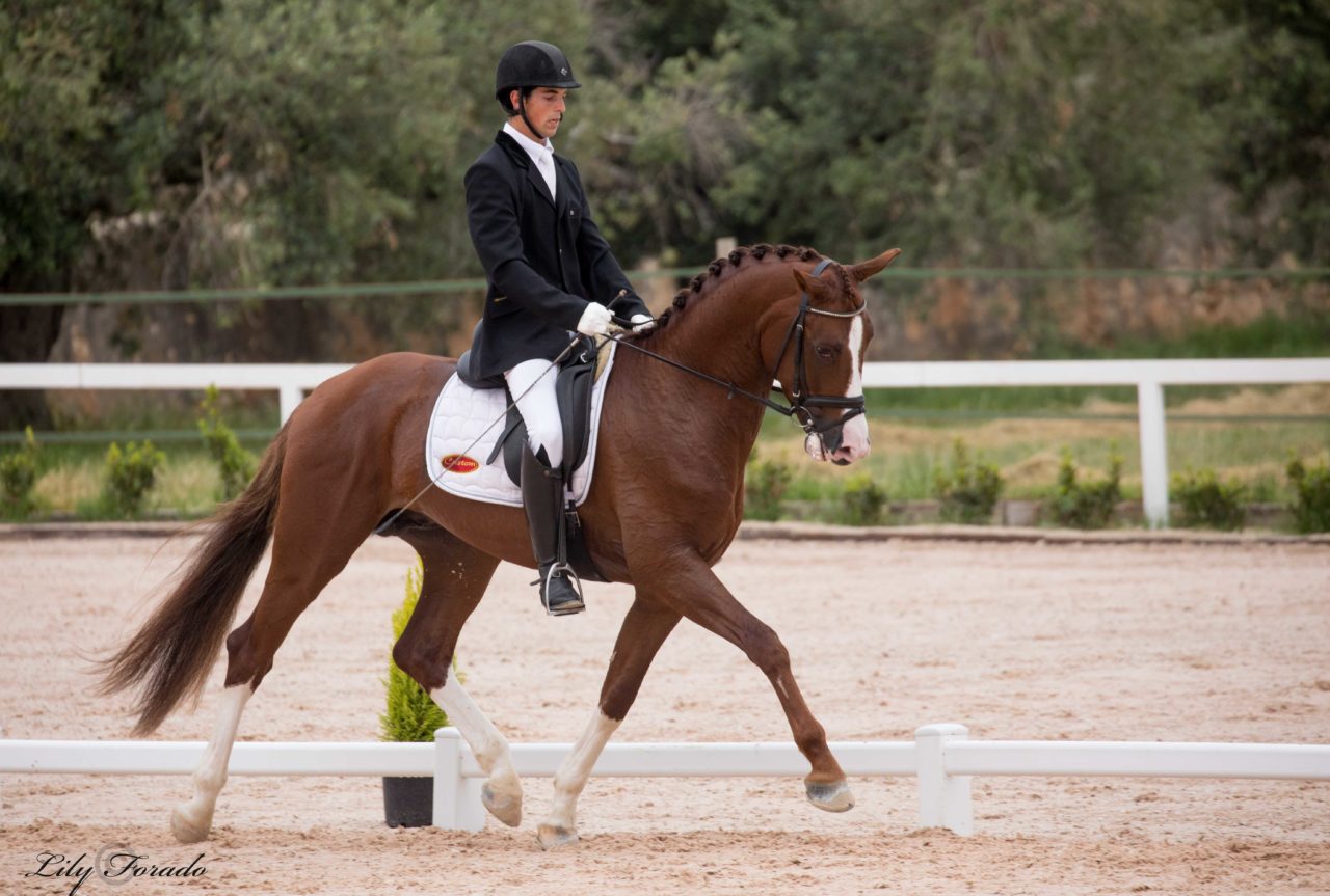 Doblete de Agustí Elias y Sergio Martí en el CDN2* de Torredembarra.