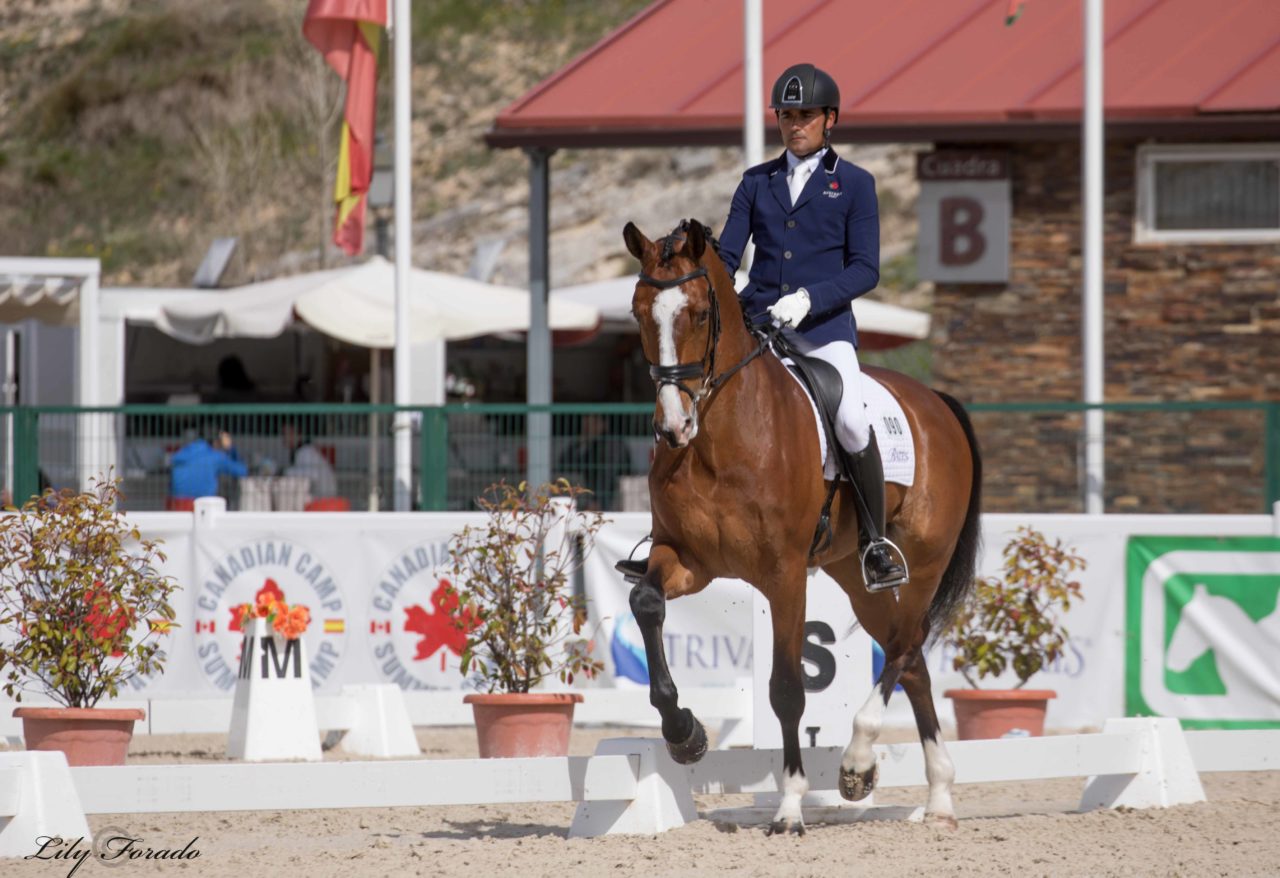 Jose Antonio Garcia Mena y Hip By Johnson seleccionados para el Campeonato del Mundo de Caballos Jóvenes (WBFSH), Ermelo 2018