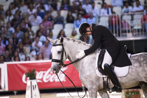 Juncal LXXXVII semental seleccionado para el CDI1* de Ermelo 2018