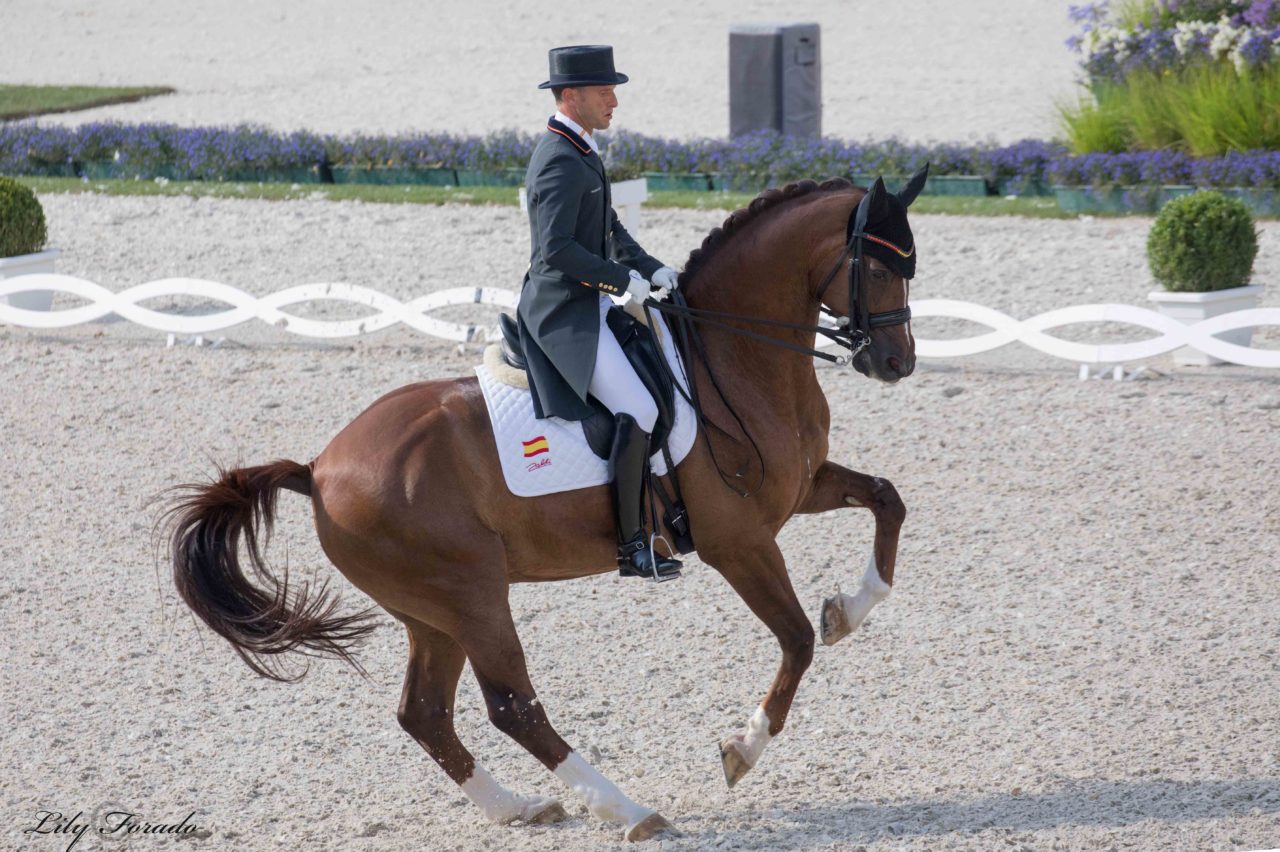 Borja Carrasacosa participará en el CDI4* de Frankfurt con Ein Traum 2