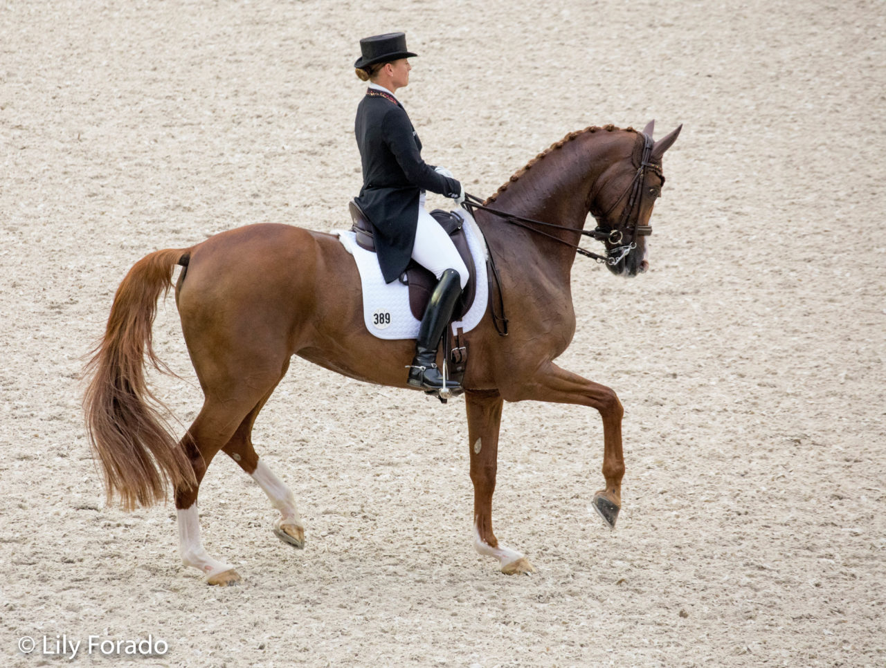 WEG TRYON 2018: binomios individuales que no hay que perder de vista