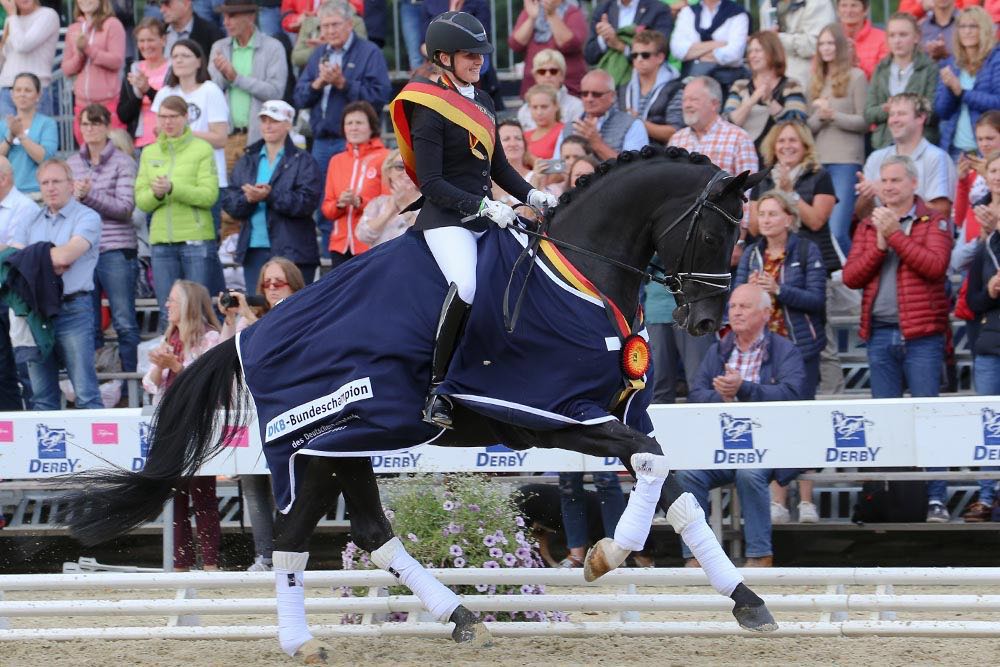 Once caballos   de Helgstrand Dressage seleccionados para el WCYH 2018