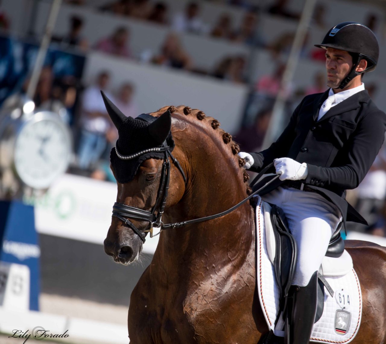 Severo Jurado y D’avie, terceros en la preliminar de 6 años