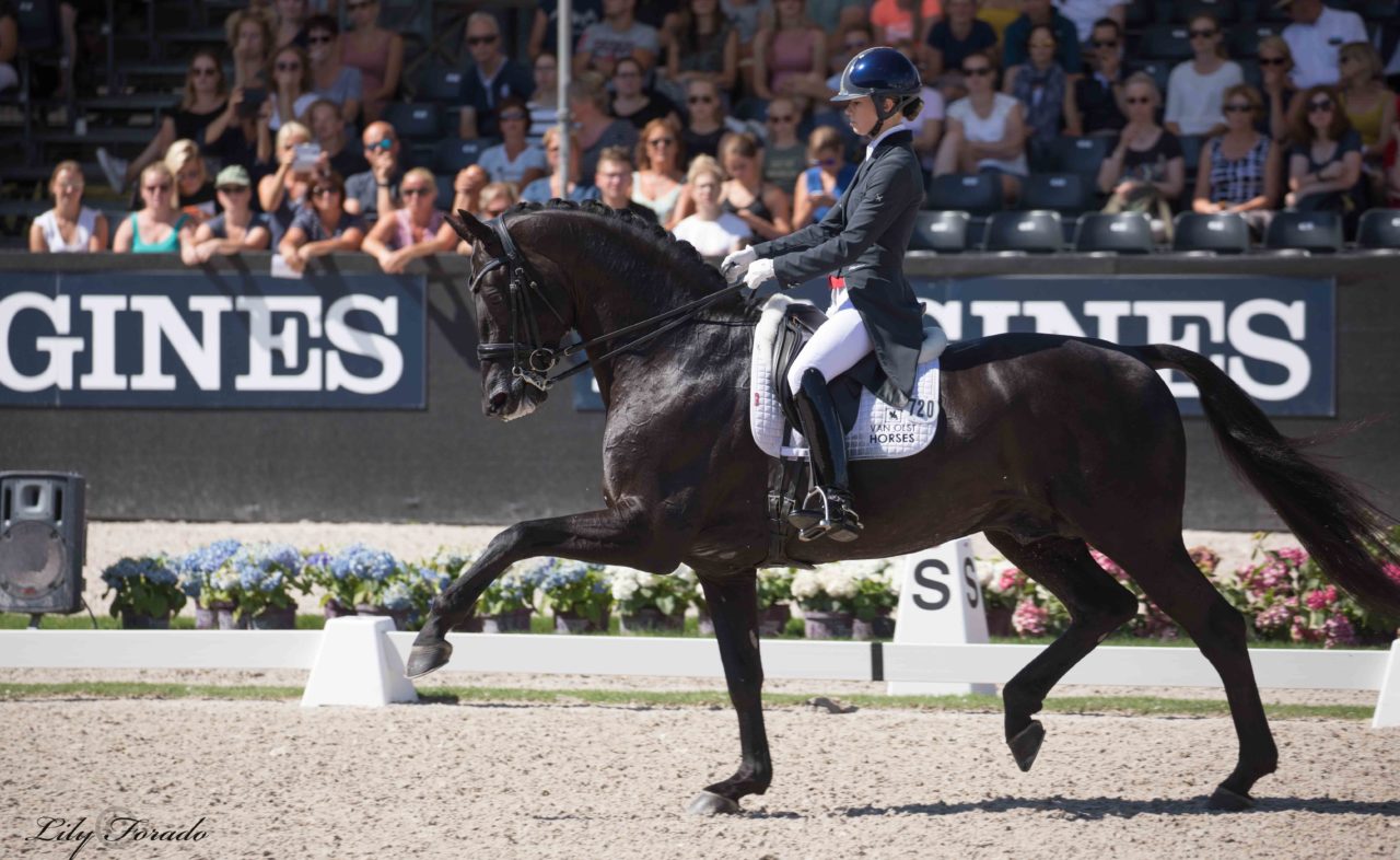 El Cto. del Mundo de Caballos Jóvenes de 2021 será en Verden