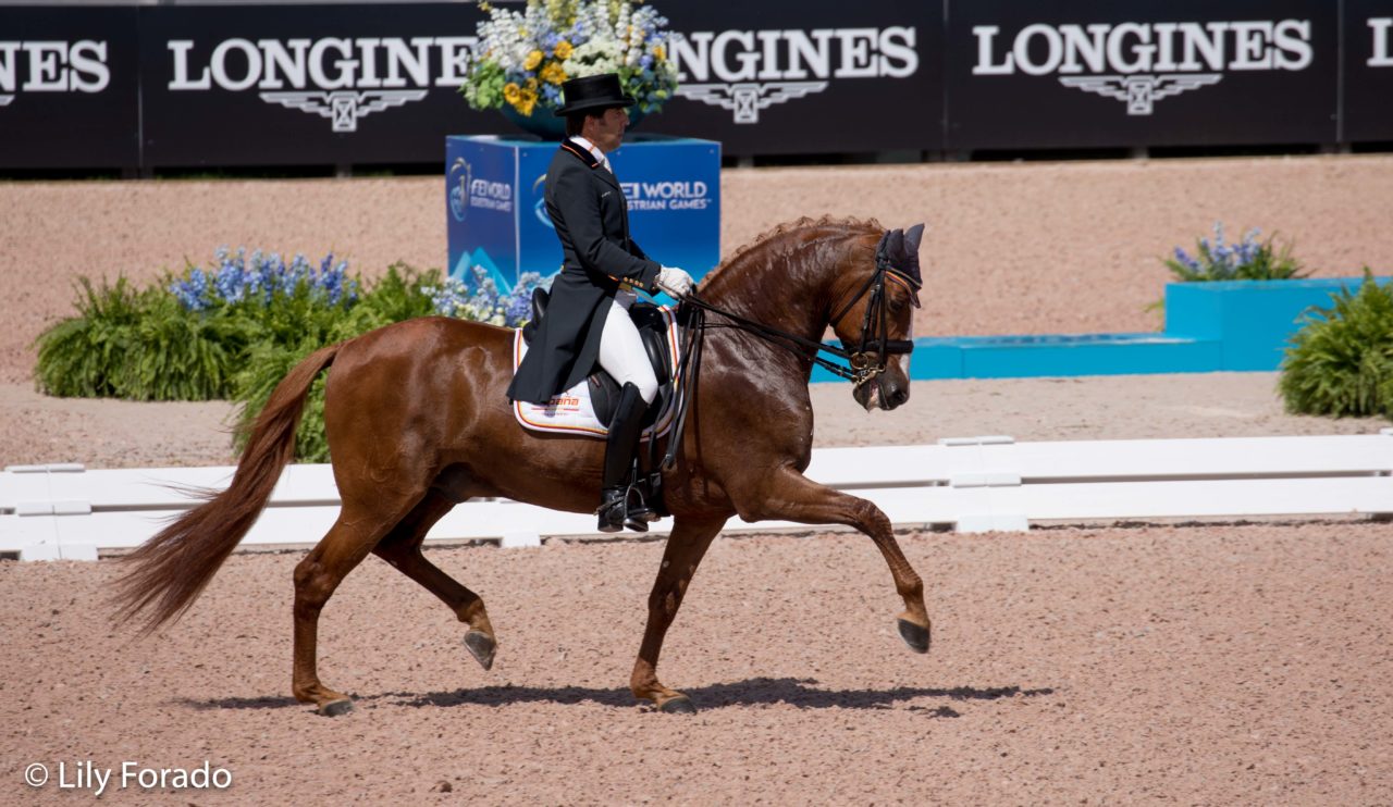 Ranking FEI: Claudio Castilla con Alcaide, el mejor español en el ranking