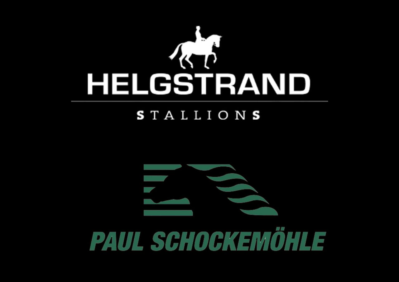 Helgstrand y Schockemöhle cooperarán juntos en los Stallions Shows de 2019