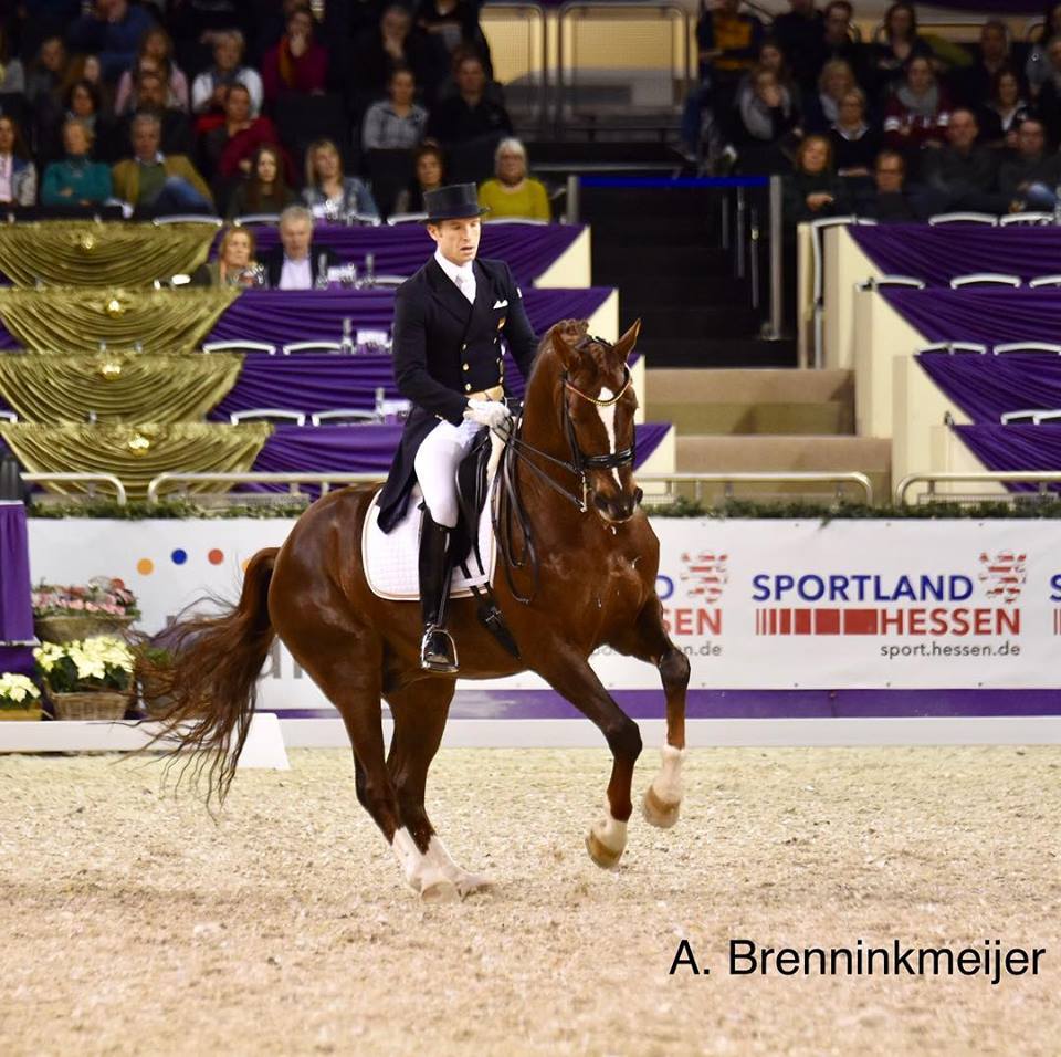 Buena Actuación de Borja Carrascosa en el GP del CDI4* de Frankfurt.