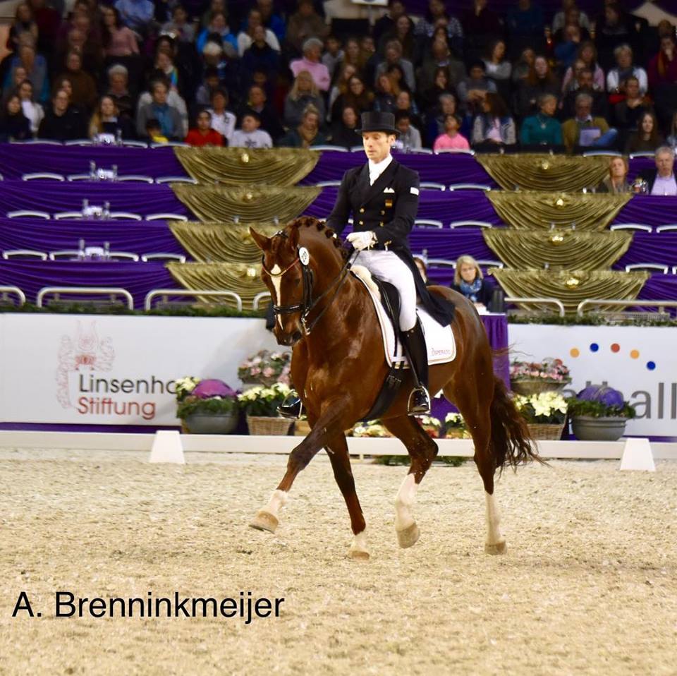 Cuarto lugar para Borja Carrascosa y Ein Traum 2 en la Kur Freestyle de Frankfurt.