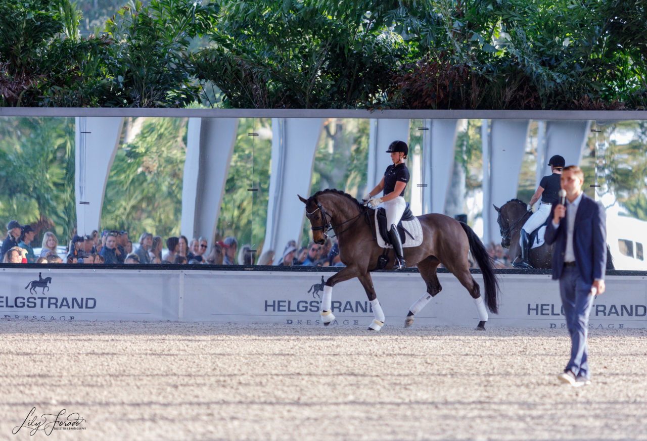 Presentación de los Caballos de Helgstrand Dressage en Wellington.