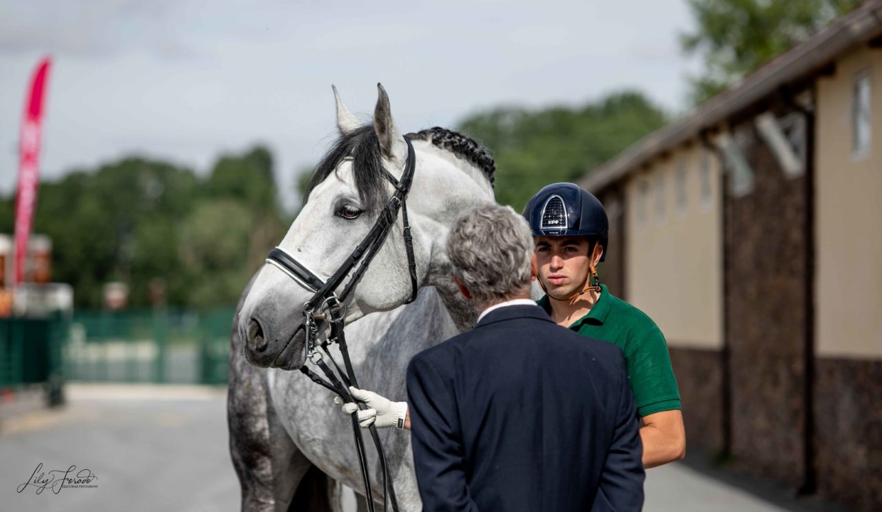 Concentración Final de P.R.E para el Campeonato del Mundo de Caballos Jóvenes 2019