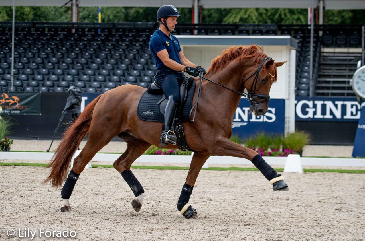 Arranca el Cto del Mundo de Caballos Jóvenes 2019