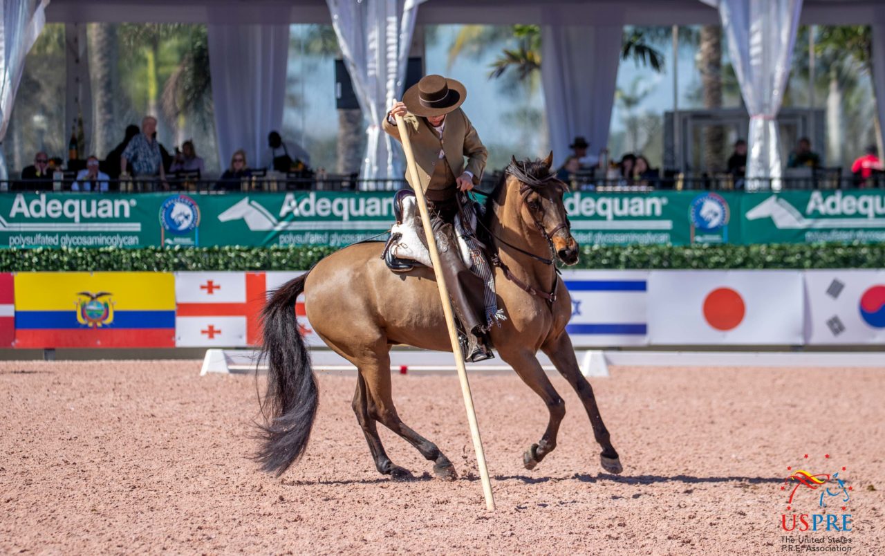 Las exhibiciones de USPRE cobran protagonismo en la pista de Wellington