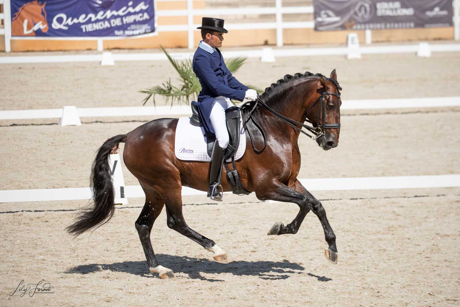 Fin de Semana redondo para José Antonio García Mena en el CDI3* de Sintra