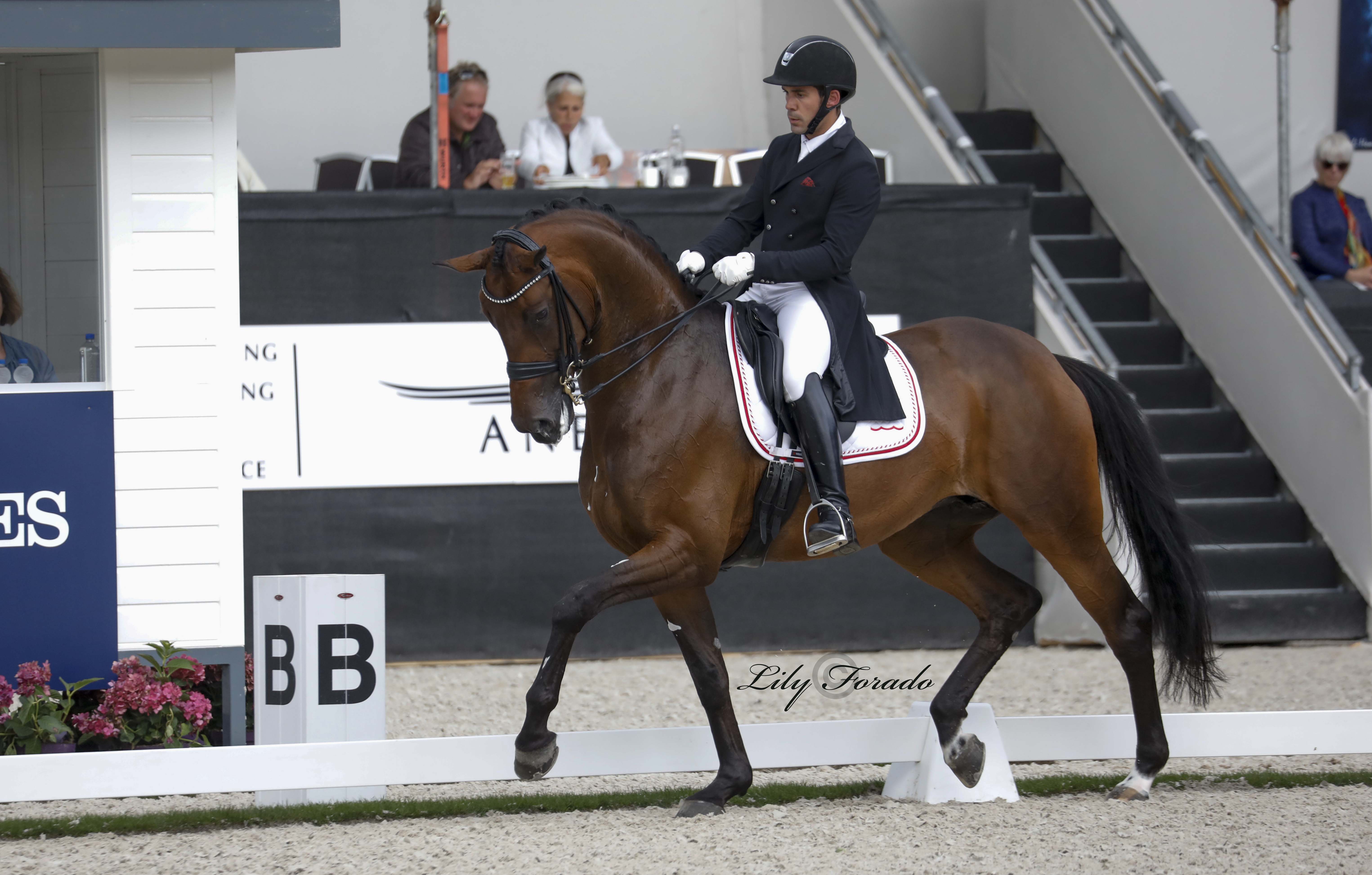 CDI5*Herning: Severo Jurado debuta a Fiontini en el Gran Premio Especial con una media superior al 77%