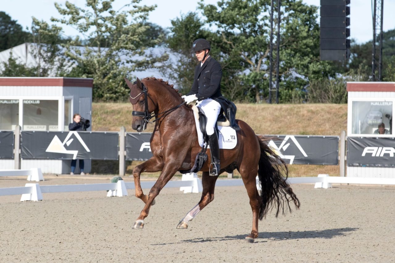 Andreas Helgstrand debuta a Fiontini y D’avie en Gran Premio con medias por encima del 70%