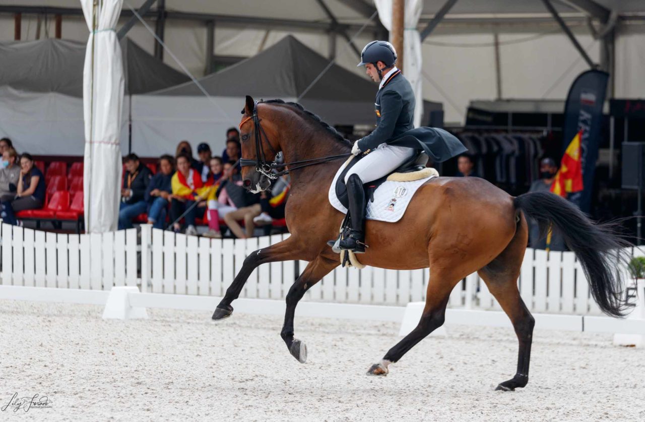 Antonio Laiz cierra el podio del GP CDI3* de Montefalco, Italia