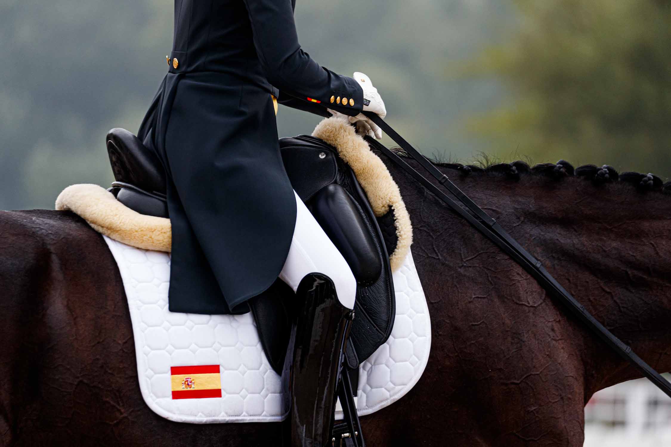 YR/U25: España entre el top cinco y Holanda destrona a  Alemania por partida doble