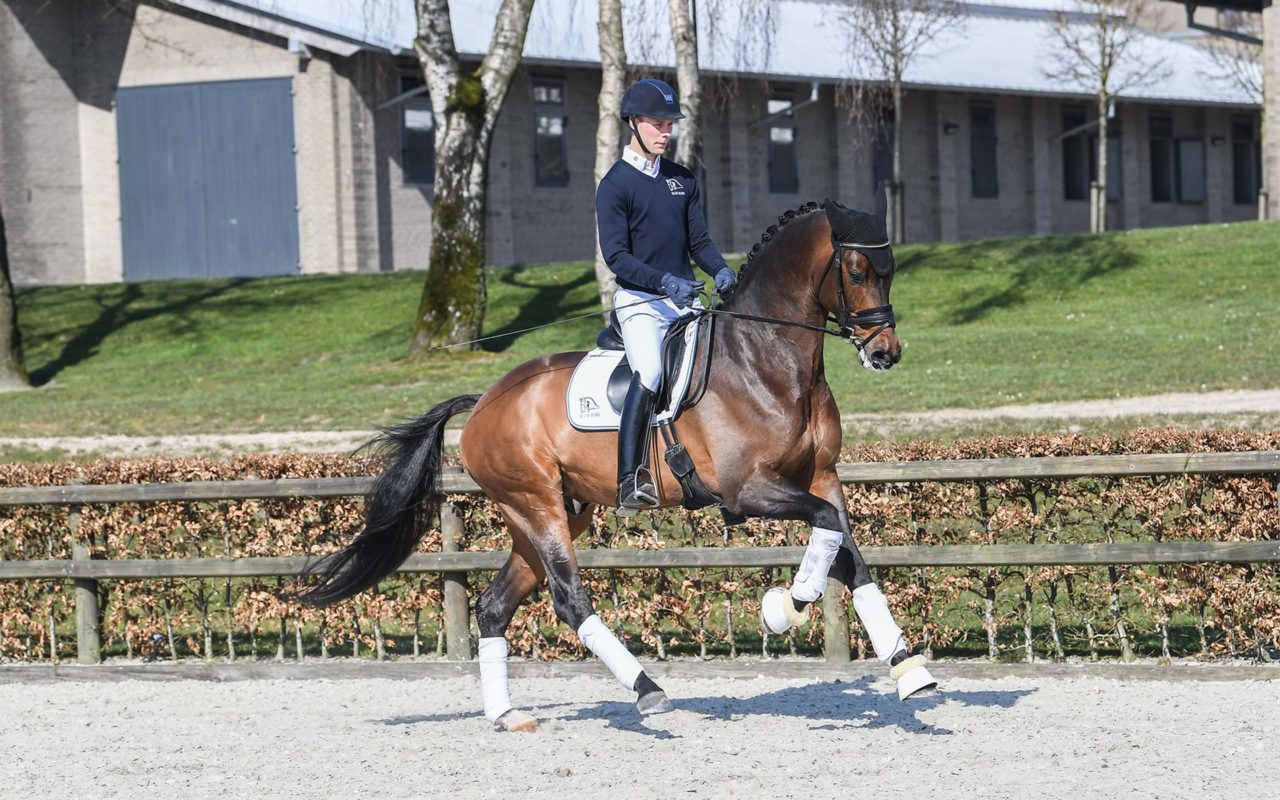 Nuevo caballo para Severo Jurado: Blue Hors Zackerey