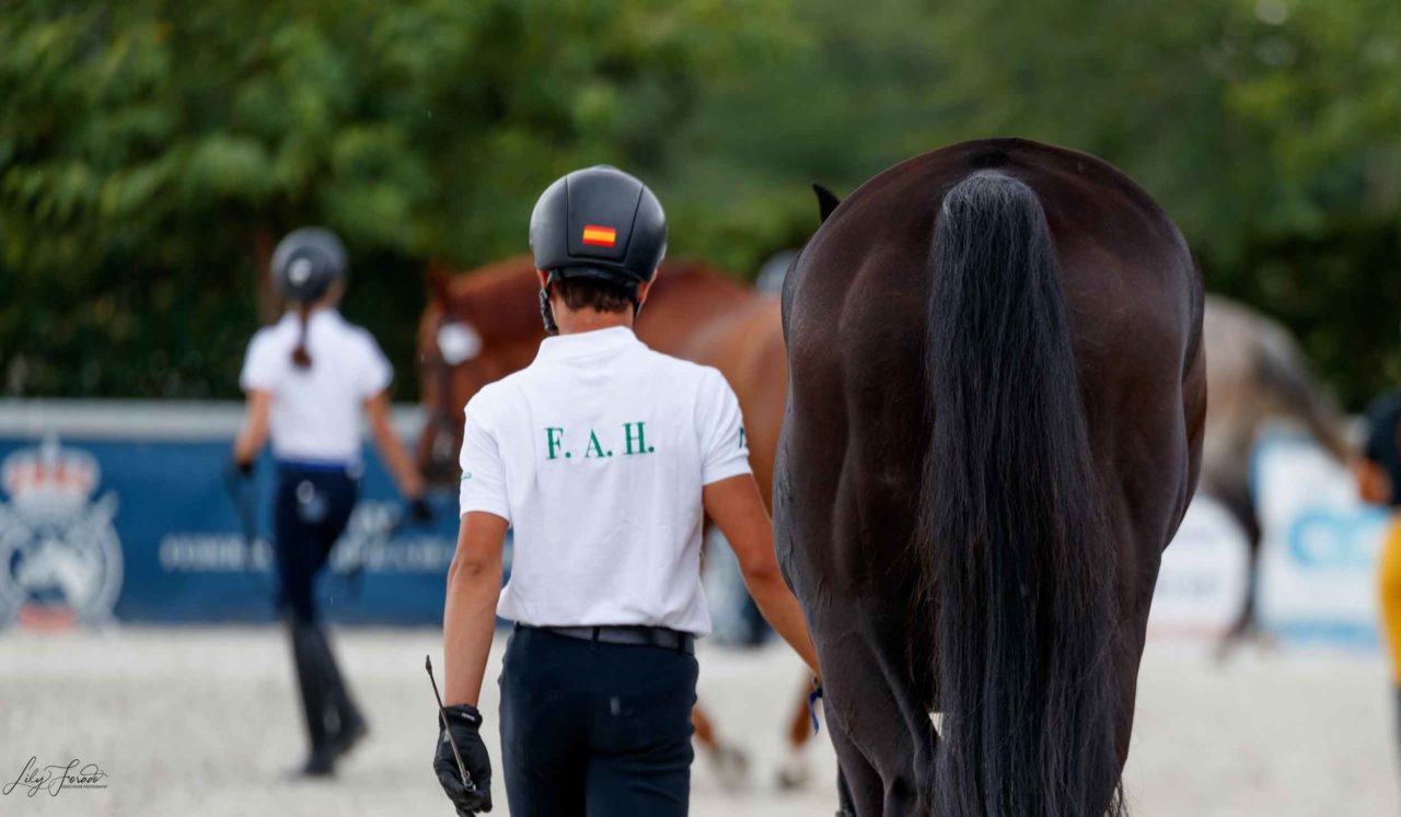 Cto. Menores 2020: Arranque del Cto. con la inspección Veterinaria