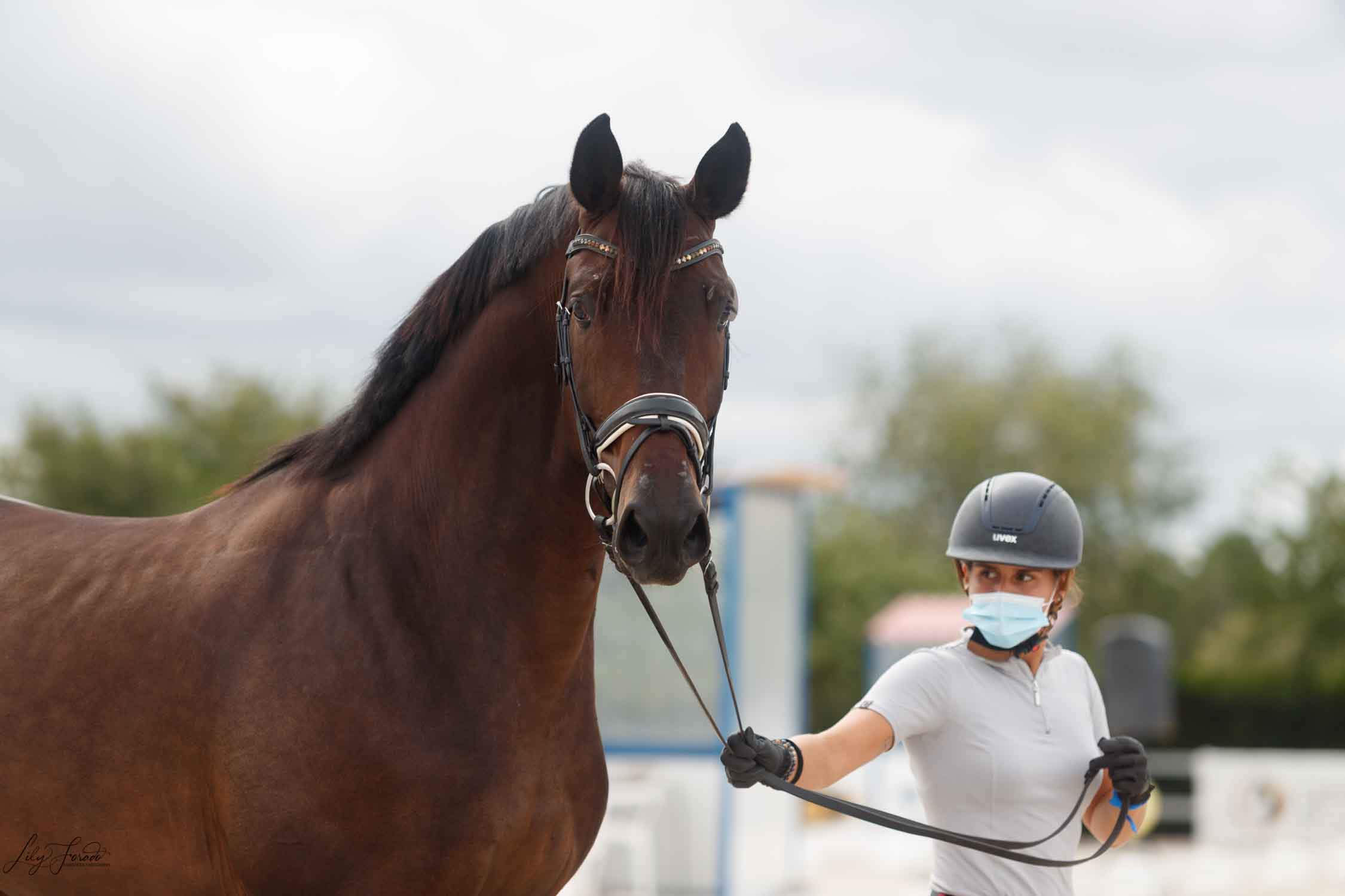 Cto. CCJJ 2020: Galería de Imágenes de la Inspección Veterinaria