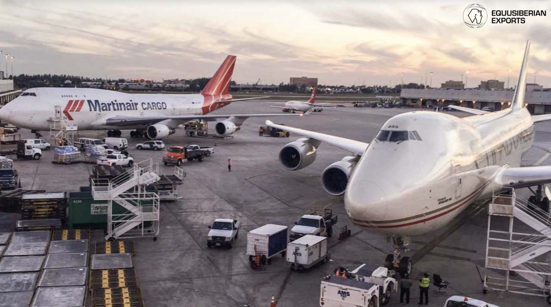 Las peculiaridades del Puente Aéreo Equino