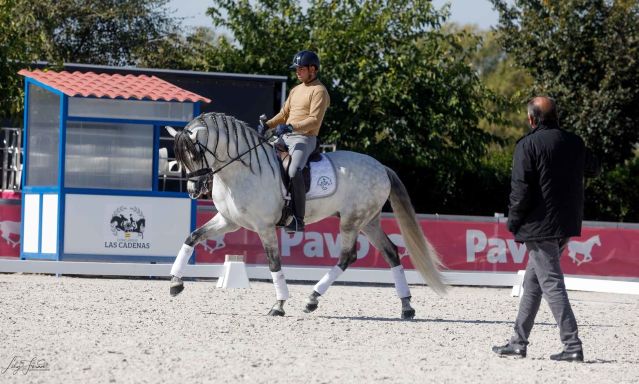 Concentración Final de P.R.E para el Campeonato del Mundo de Caballos Jóvenes 2020