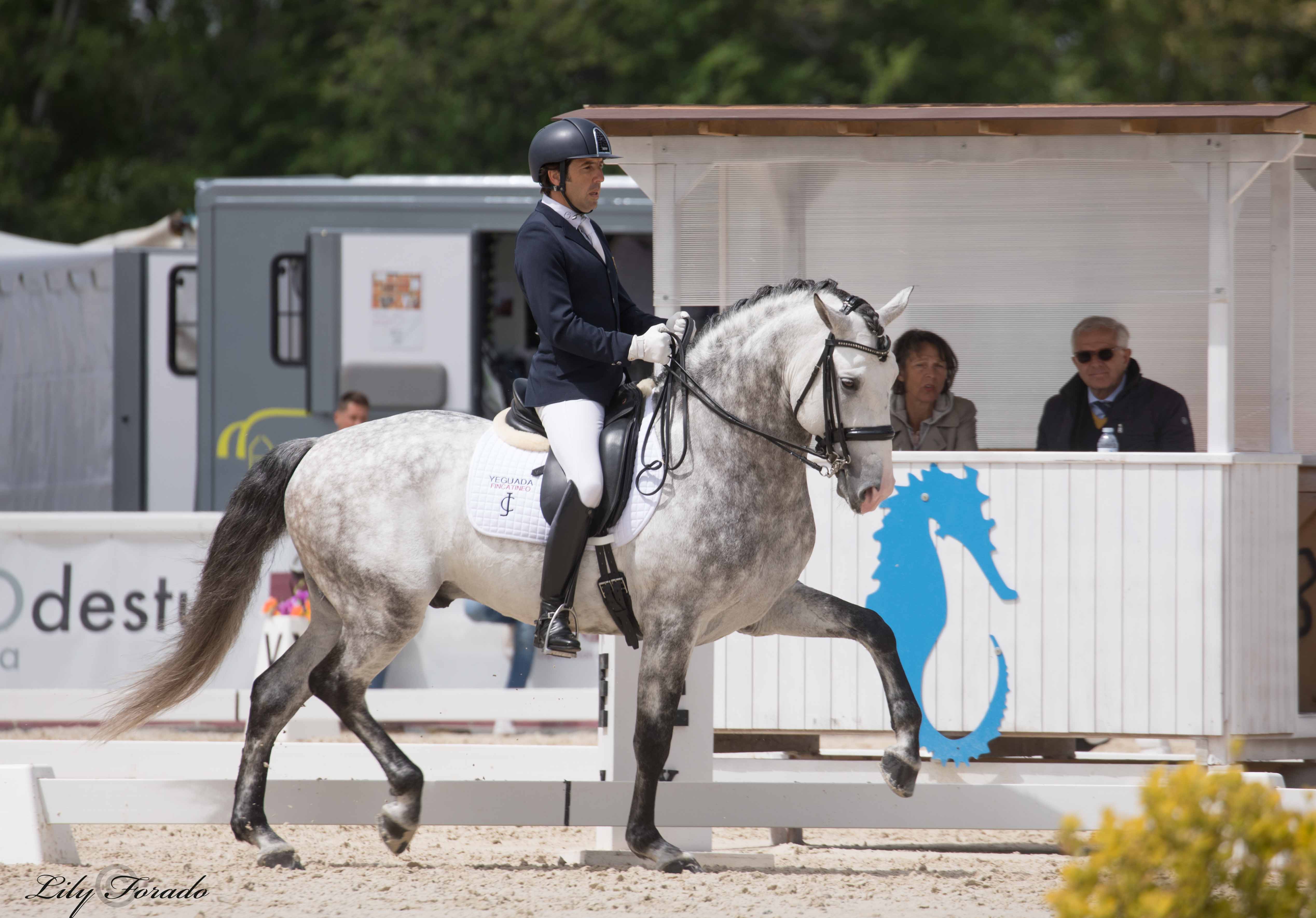 Claudio Castilla y sus buenos resultados en el CDI3* de Alter do Châo