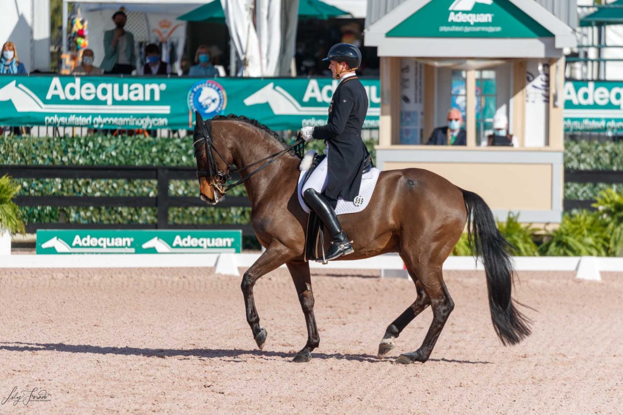 Rebroff 6, fallece en las cuadras del Adequan Global Dressage Festival