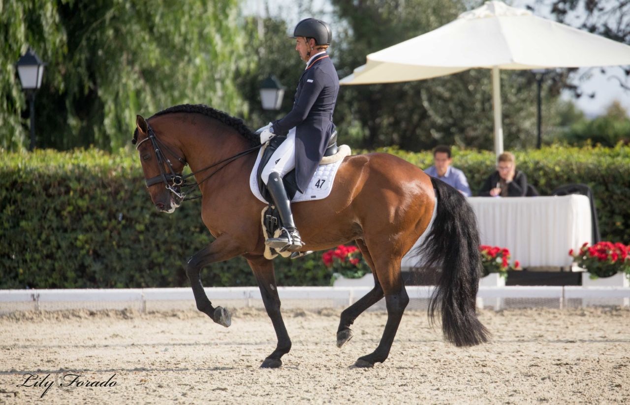 Primer Nacional de Doma con nutrida participación en el Real Club de Polo de Barcelona