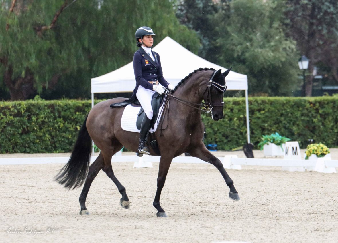 Nutrida participación en el CDN3* Real Club de Polo de Barcelona