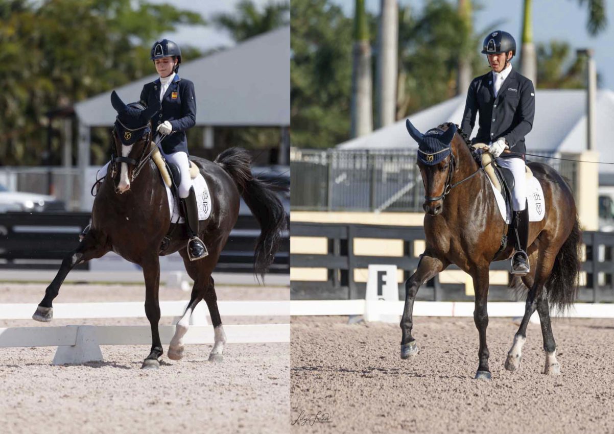 AGDF11: Pablo Gómez y Natalia Bacariza compiten sus caballos jóvenes con grandes resultados