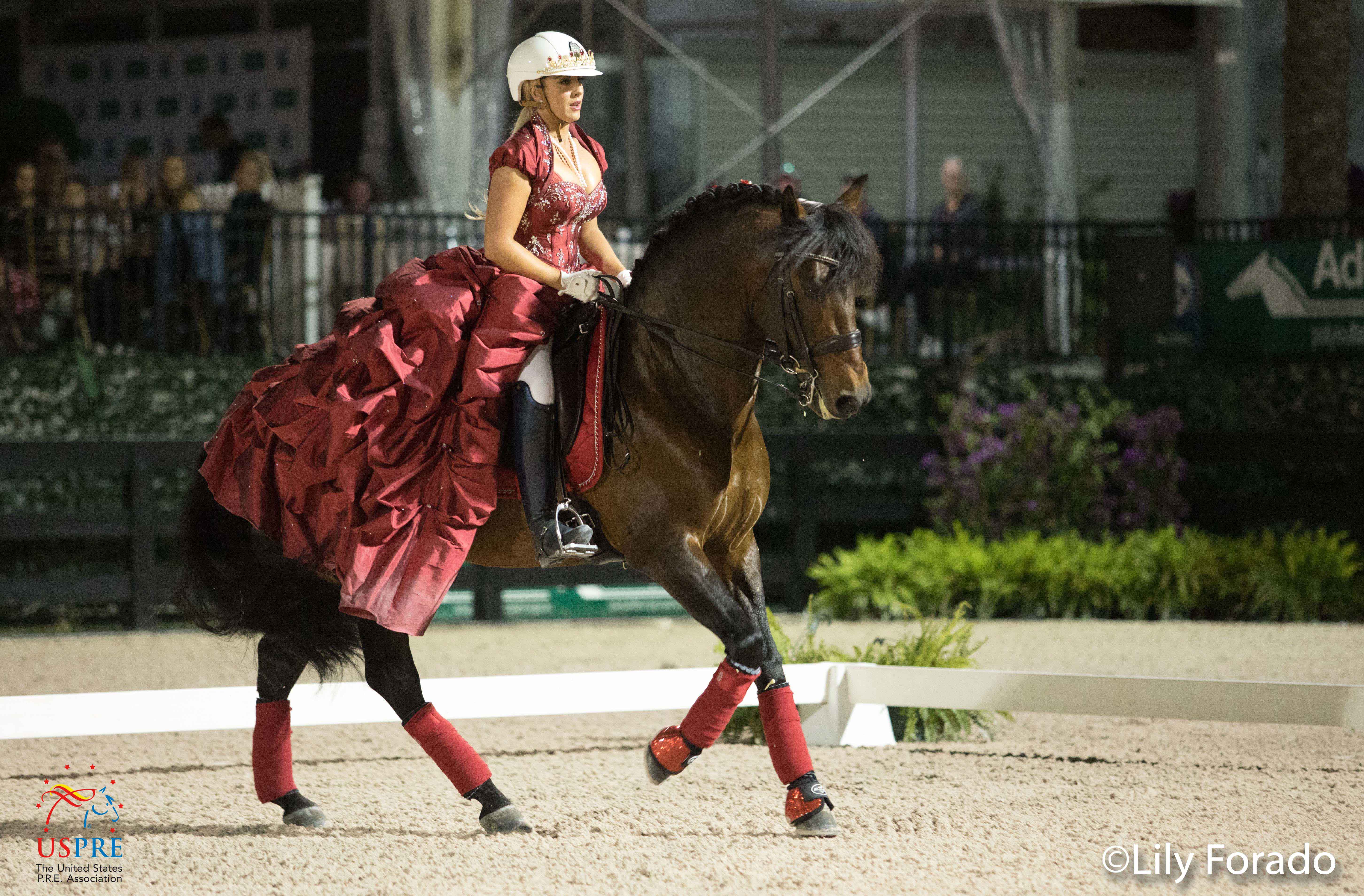 La majestuosidad del caballo P.R.E en Wellington.