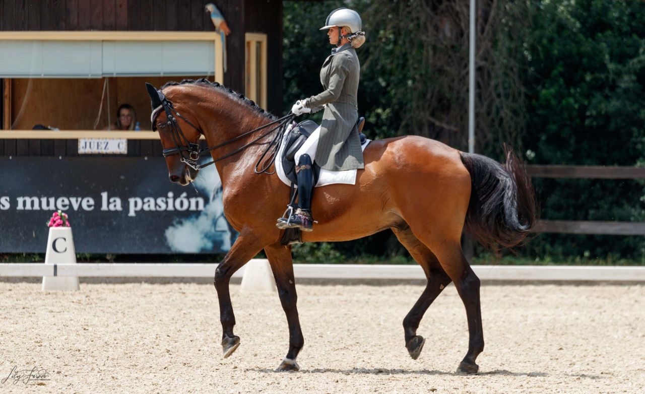 Jordi Domingo y Agustí Elias triunfan en el CDN3* veraniego del C.A.V.A