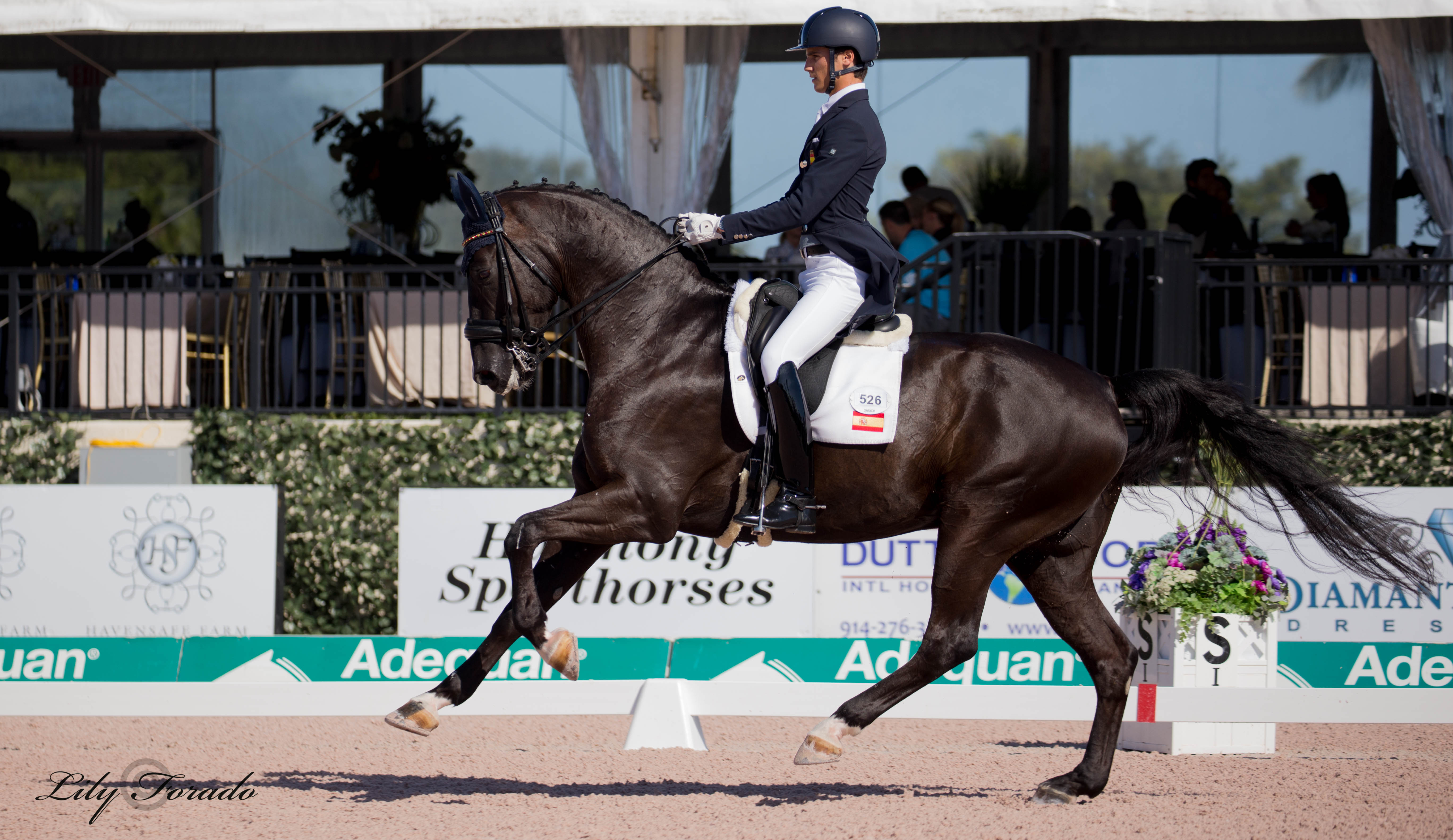 Triunfo de los Españoles en el Nacional de White Fences Polar Express.