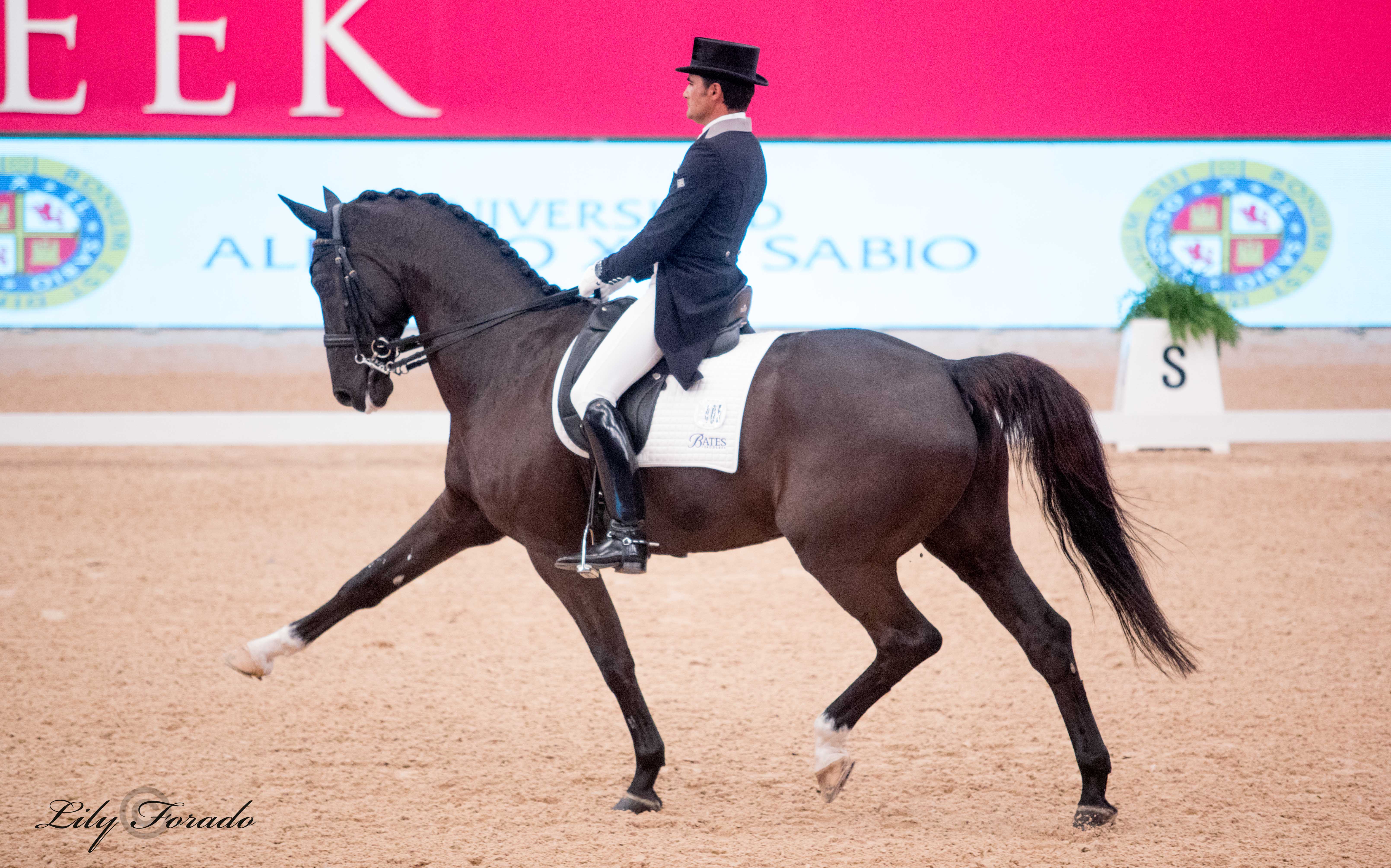 Un elenco de lujo en la Copa del Mundo de  Madrid Horse Week 2018