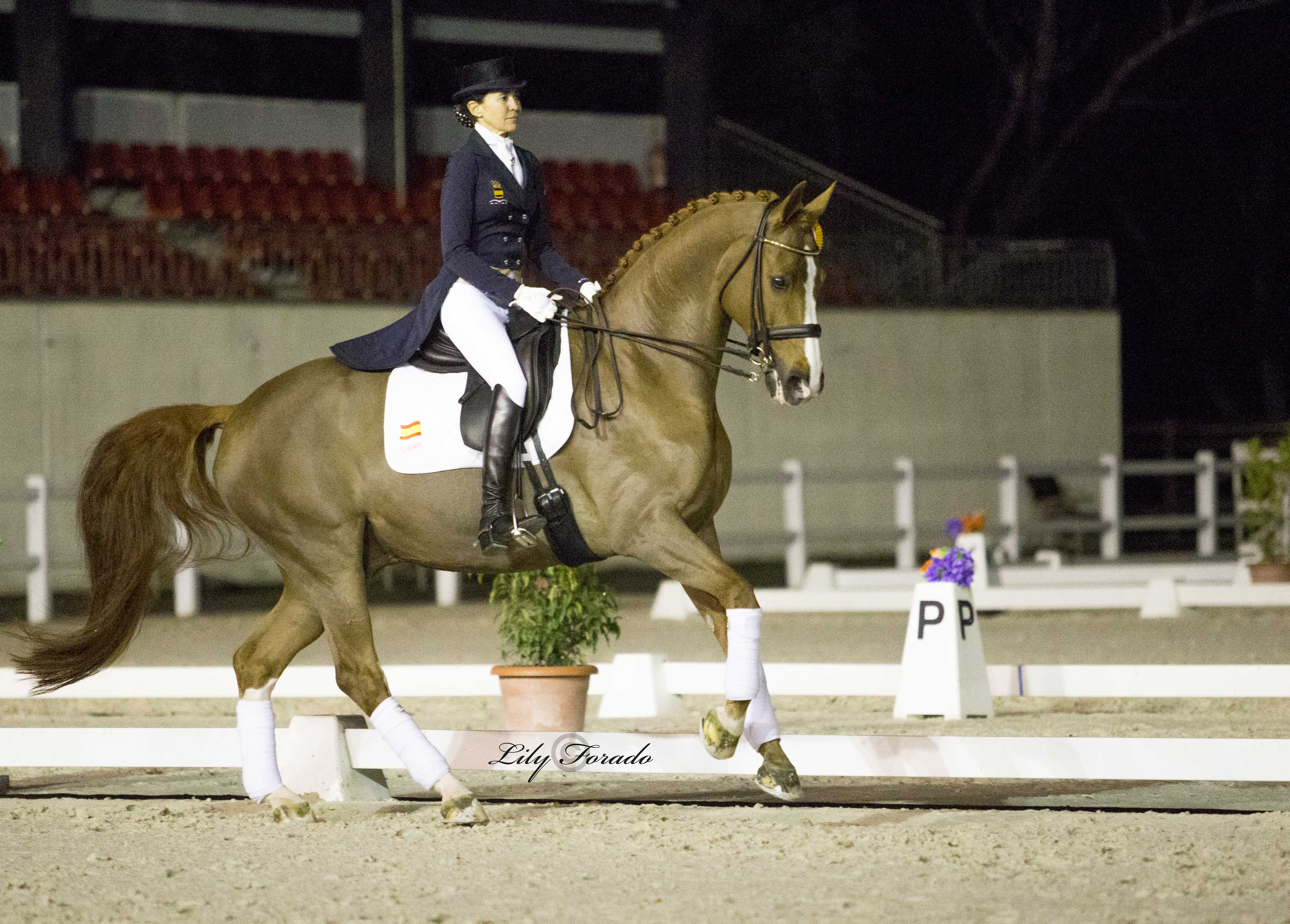 Beatriz Ferrer Salat se impone en el GP del CDI3* de Segovia