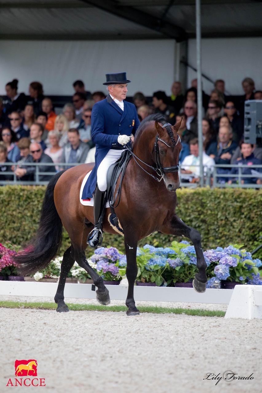 EL PRE ganará protagonismo en el Campeonato del Mundo de Caballos Jóvenes (CH-M-D-YH)