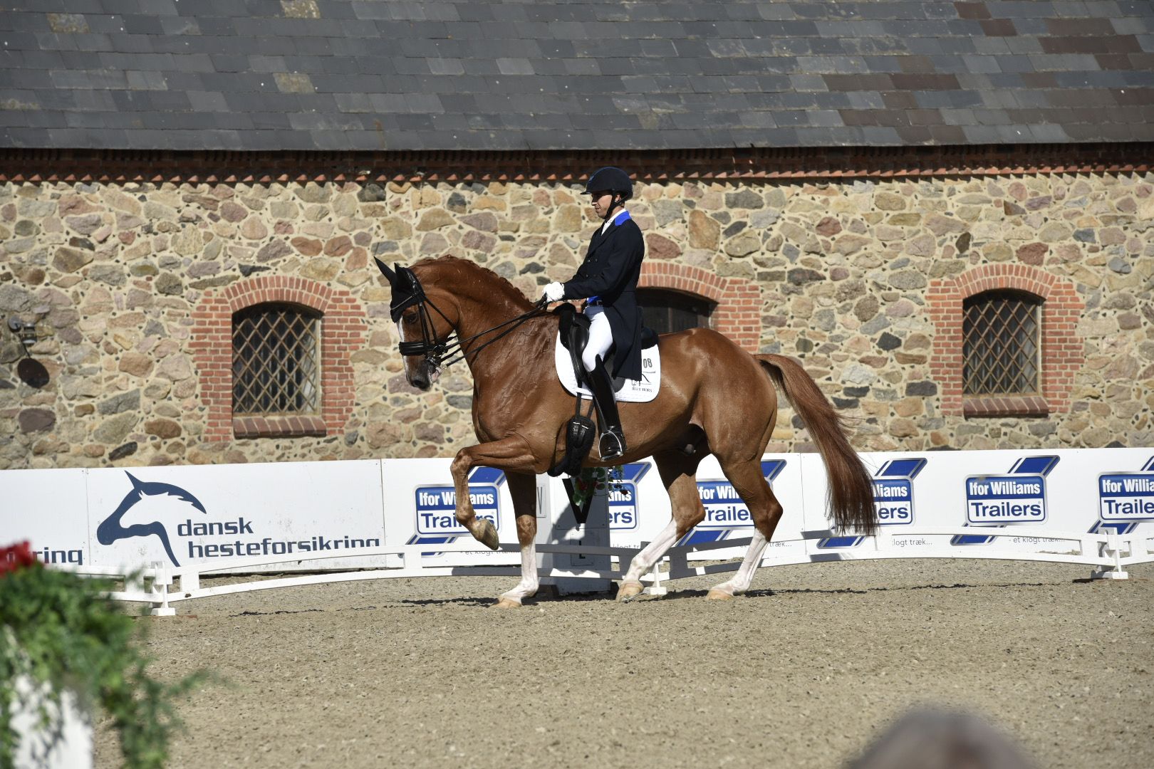 Cristian Tudela con «Blue Hors Zepter» se impone en el GP con más de 73%