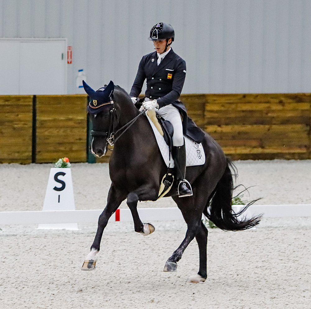 Pablo Gómez vence en la San Jorge del CDI3* de WEC, Ocala