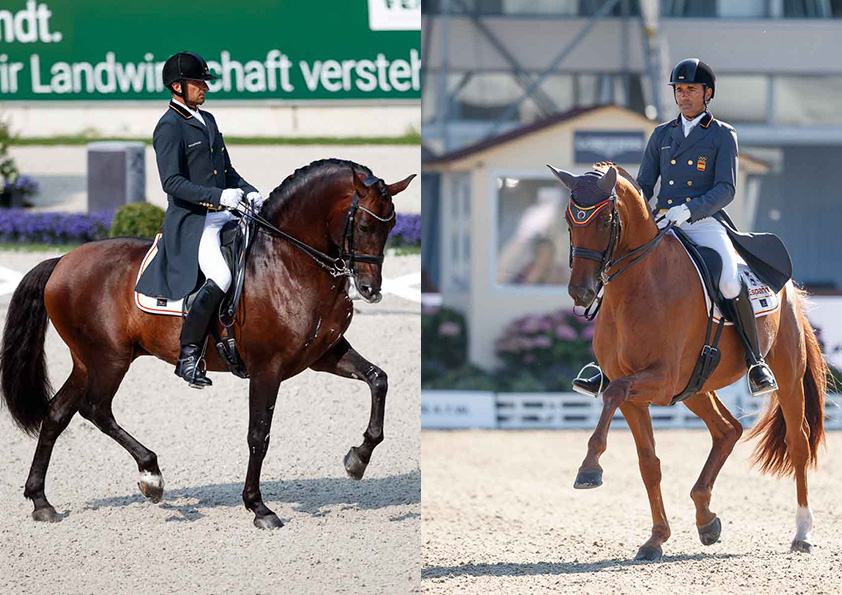 Ranking FEI: Dockx y Mena remontan más de 100 posiciones, Werth fuera del top 3