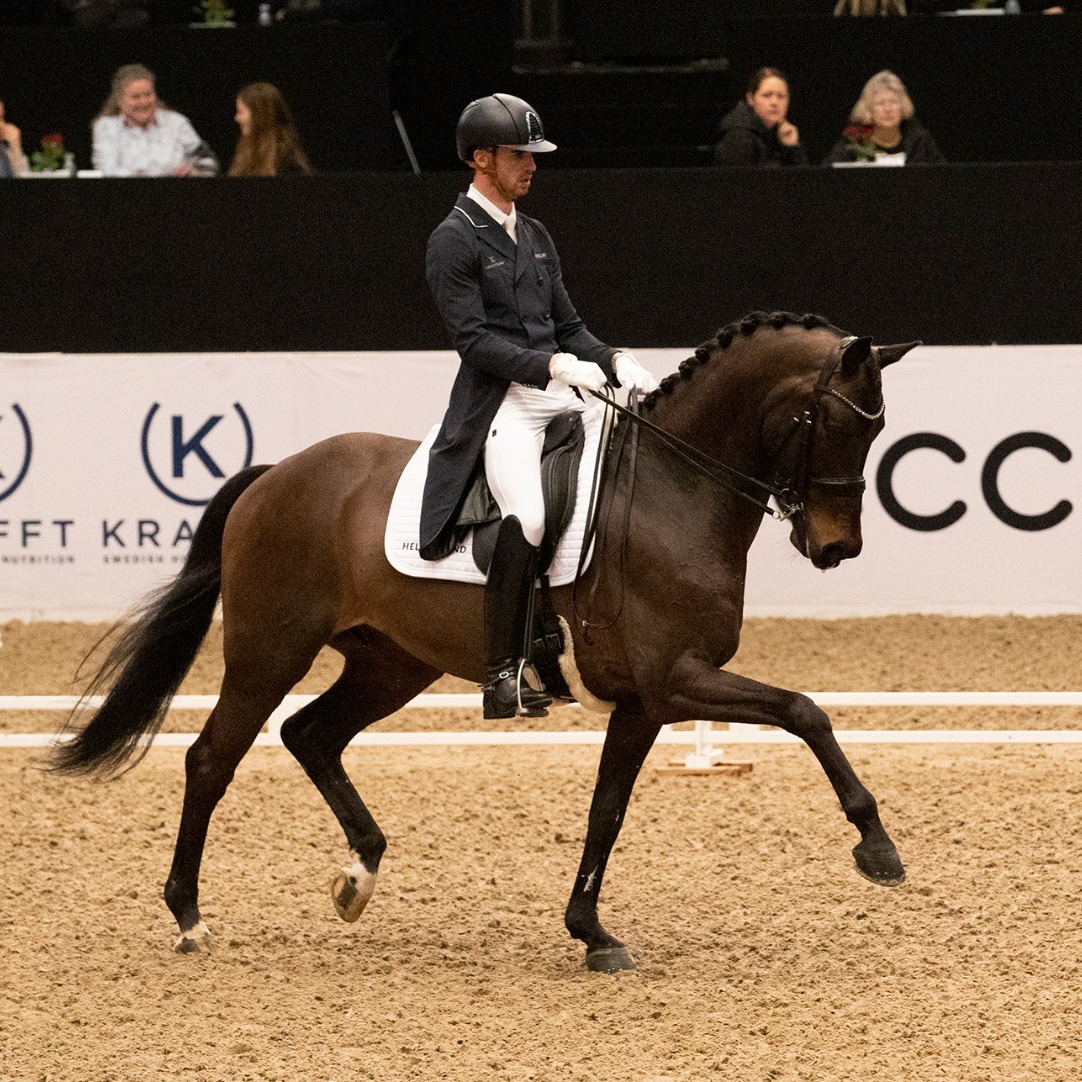 Eric Guardia triunfa en la San Jorge del CDI3* de Herning.